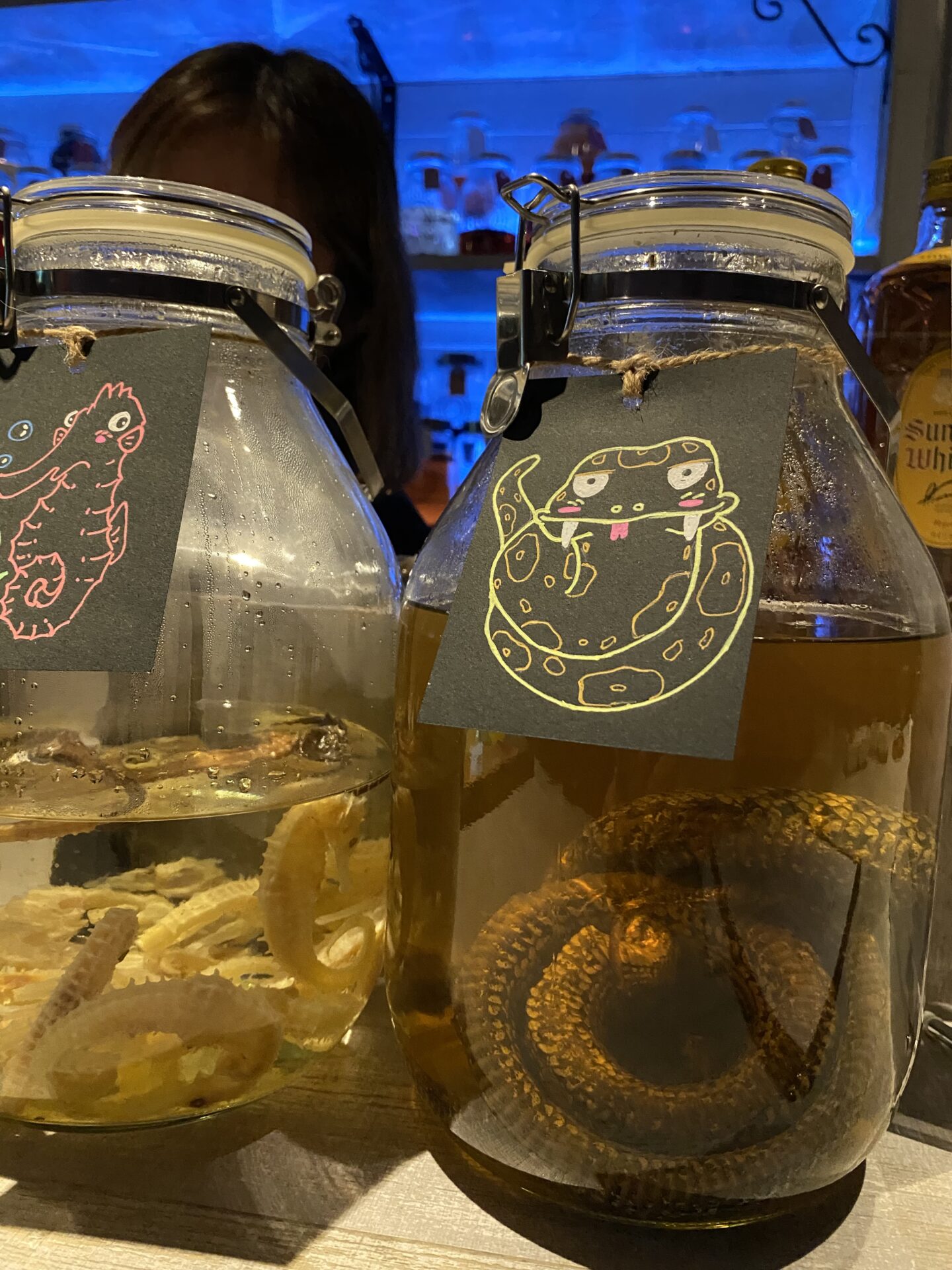 マムシ酒22年物